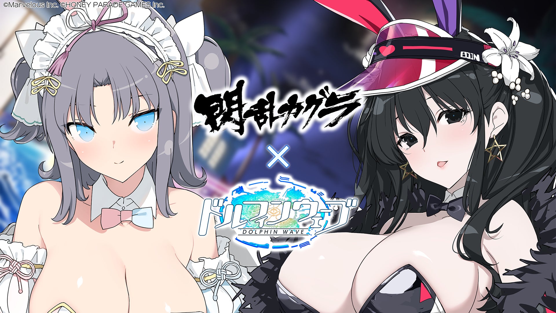 ドルウェブ×閃乱カグラ!雪不帰コラボガチャ登場! ドルウェブ×閃乱カグラ!雪不帰コラボガチャ登場!