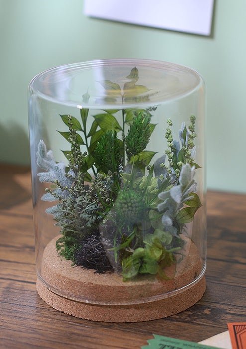 △グリーンドーム(花垣武道)