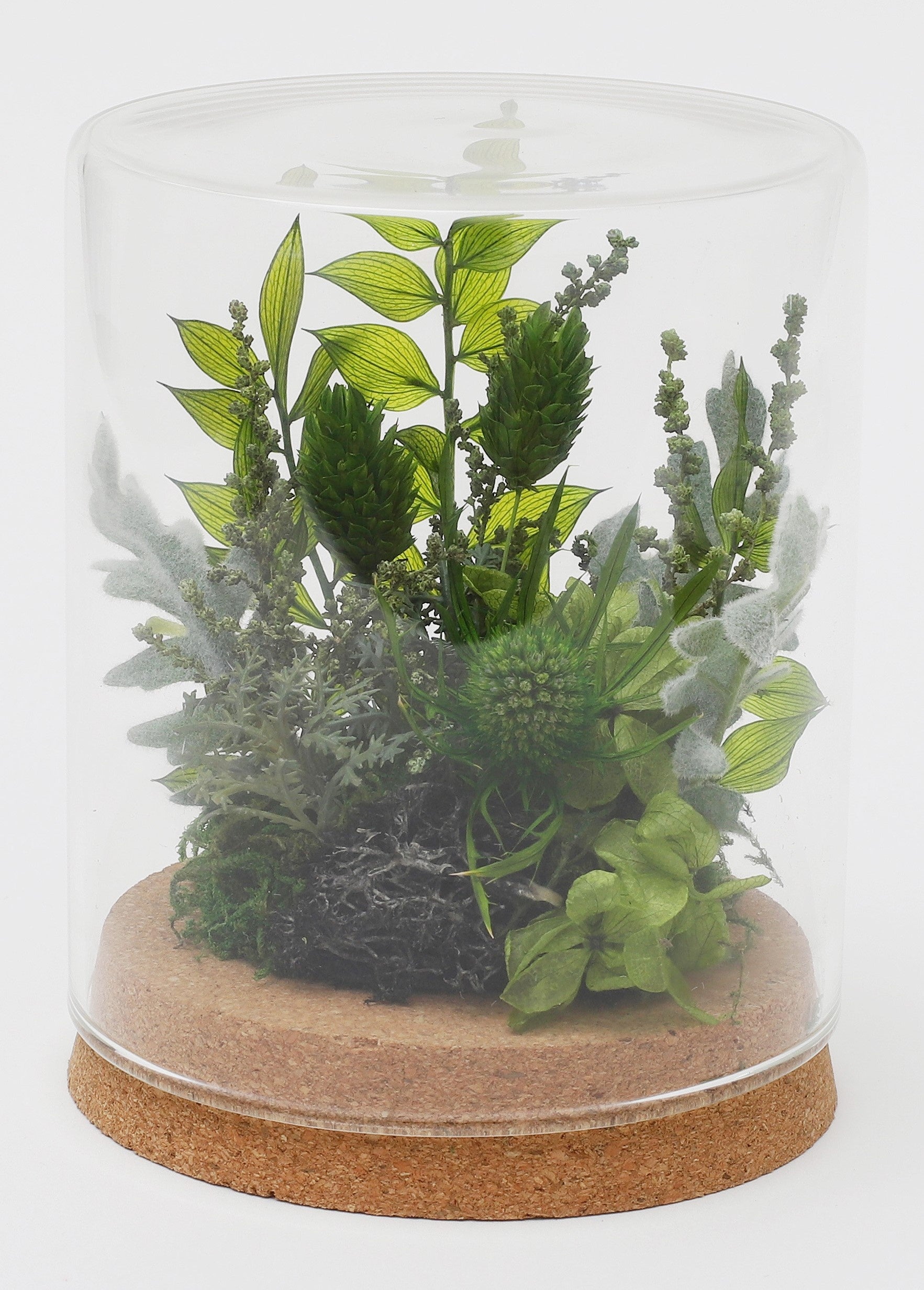 △グリーンドーム(花垣武道)