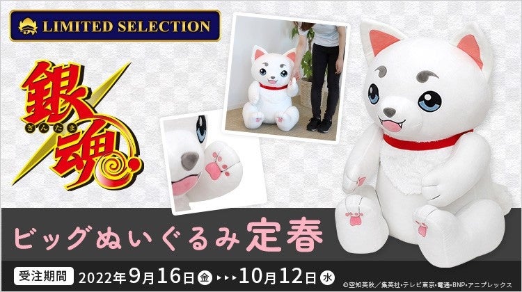 Tvアニメ 銀魂 より 万事屋のマスコット 定春 が高さ約78cmのビッグなぬいぐるみになって登場 Animate Limited Selection にて 9 16より予約開始 株式会社アニメイトホールディングスのプレスリリース Tvアニメ 銀魂 より 万事屋のマスコット 定春 が高さ約78cmのビッグなぬいぐるみになって登場 Animate Limited Selection にて 9 16より予約開始 株式会社アニメイトホールディングスのプレスリリース