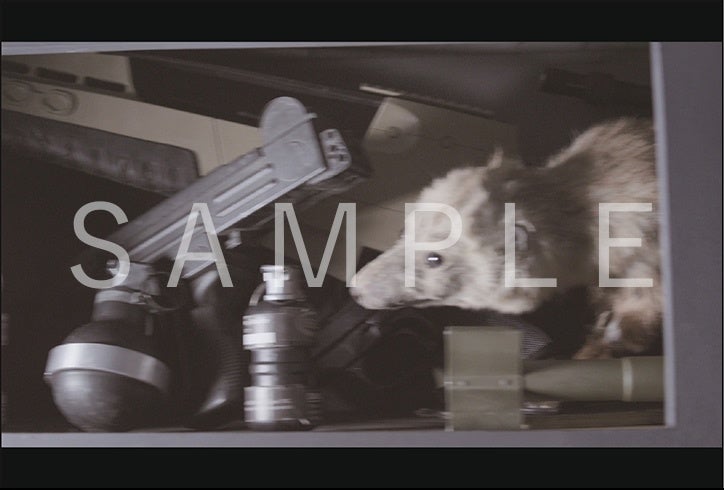 ペチュニアポペチュニアポストカード（第3弾）ストカード（第3弾）