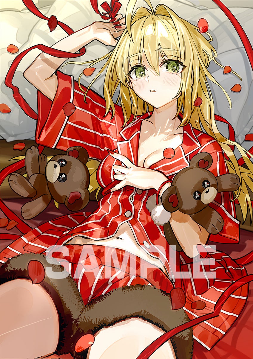 Fate/EXTRA Record 2027/1/28発売!セイバー描き下ろしイラスト公開 Fate/EXTRA Record 2027/1/28発売!セイバー描き下ろしイラスト公開