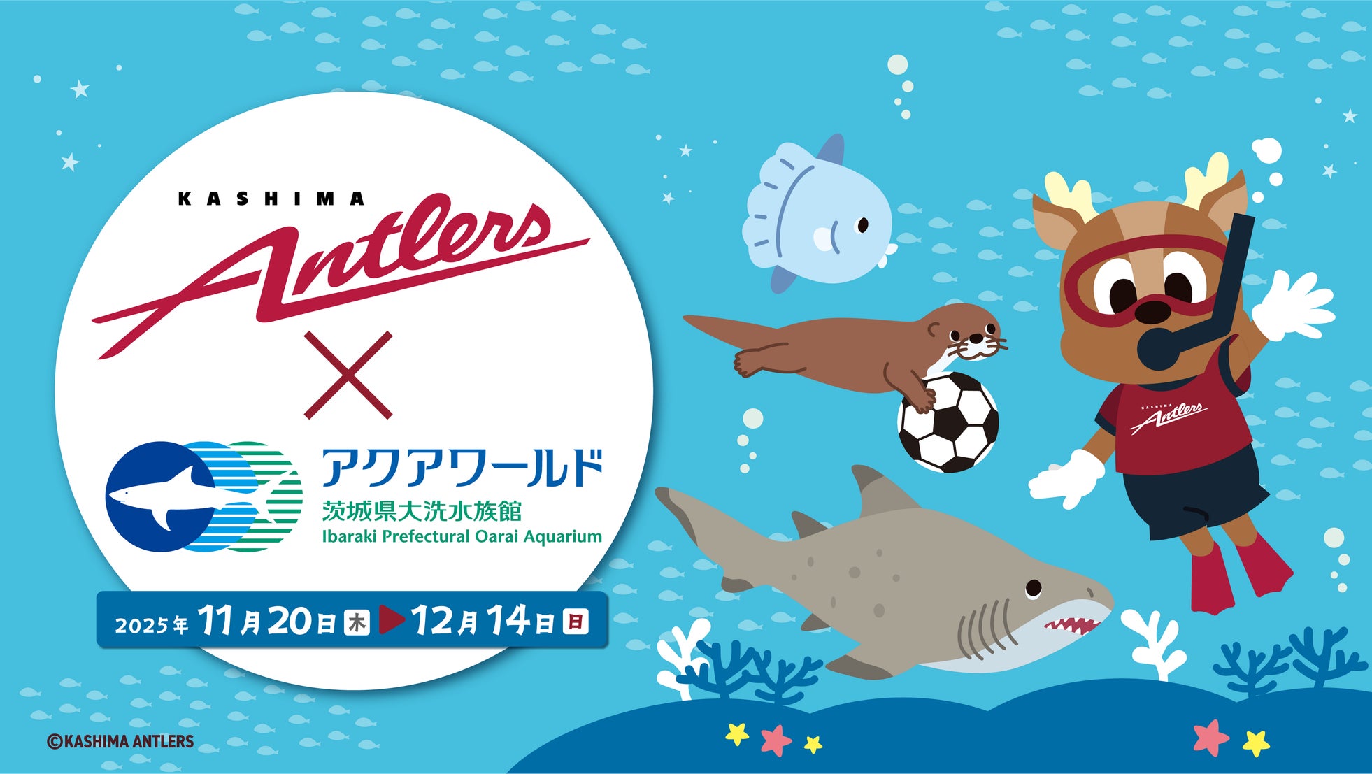 鹿島アントラーズ×アクアワールド・大洗