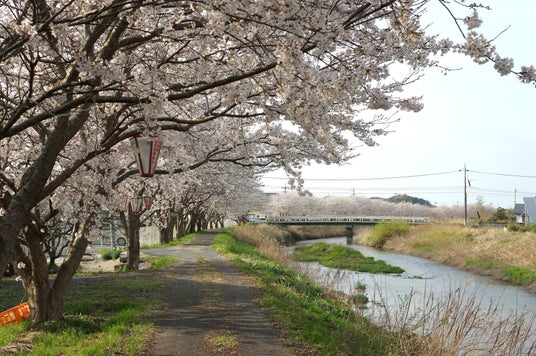 【鳥取県西部】春の息吹を五感で満喫!「大山時間 “チャリ旅ツアー 2026春”」を開催、参加者募集 【鳥取県西部】春の息吹を五感で満喫!「大山時間 “チャリ旅ツアー 2026春”」を開催、参加者募集