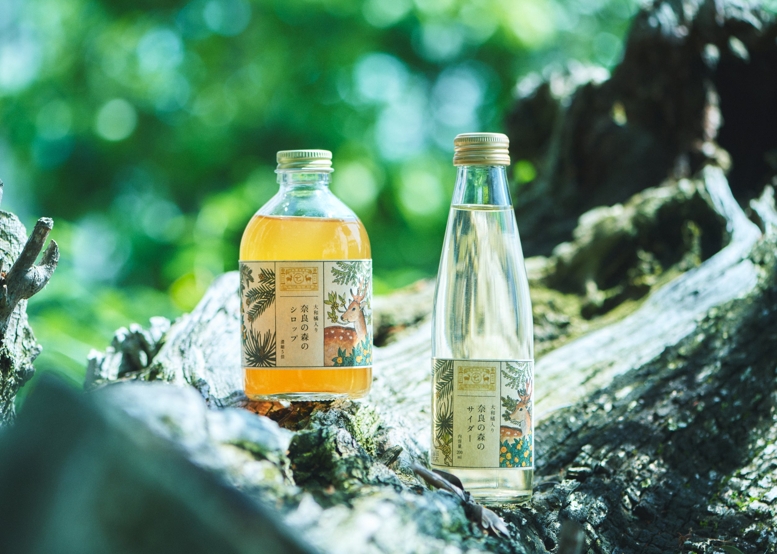 日本最古の森を飲む 「奈良の森シロップ・サイダー」中川政七