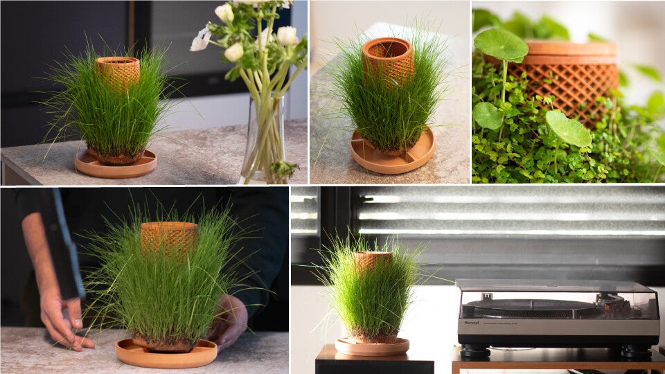 1日で目標金額達成】⽔がじんわり滲み出し、植物が鉢の外側で育つ