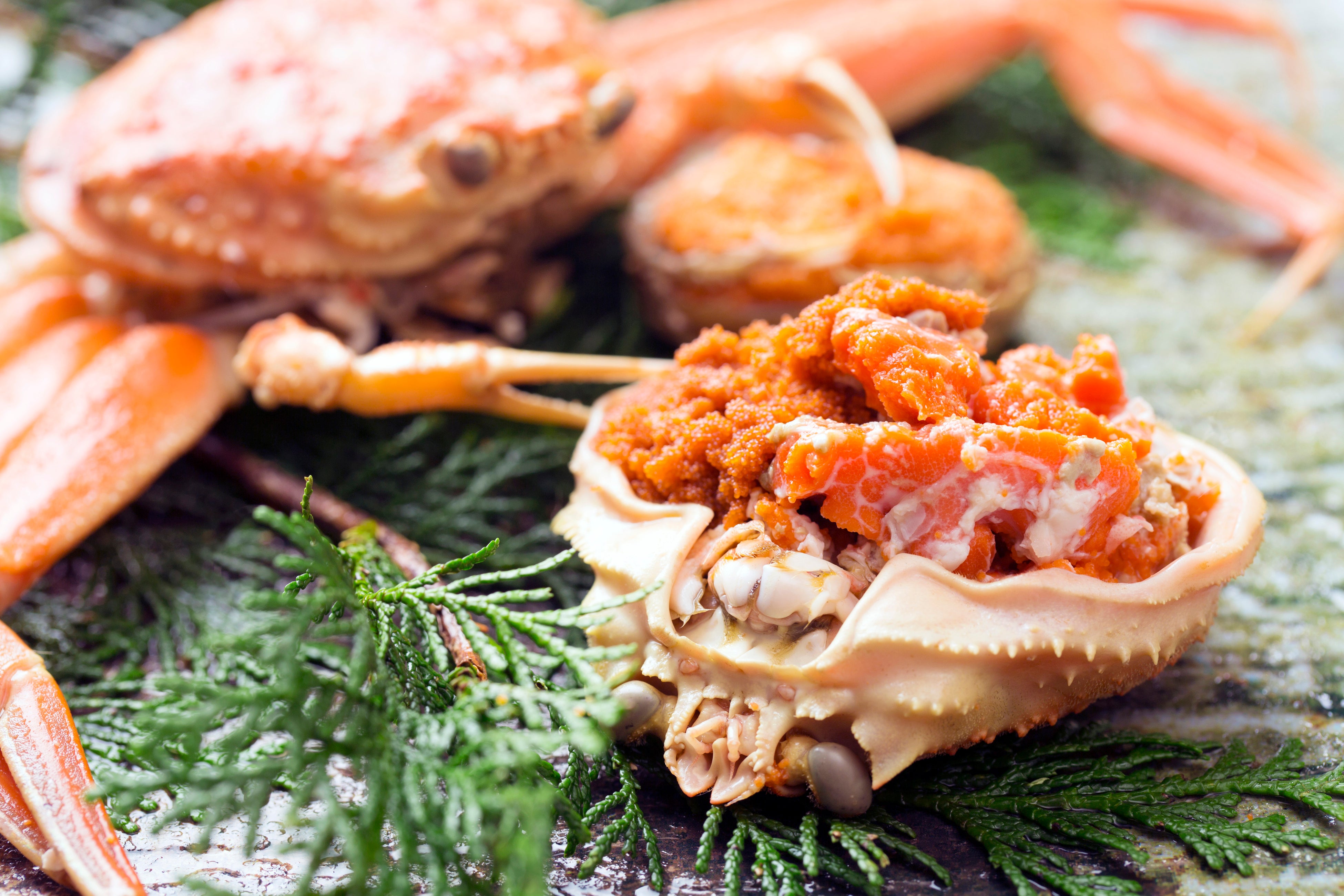 2025年ミシュラン１キー『旅亭 半水盧』、秋季限定「至極を味わうプレミアムプラン」を販売開始