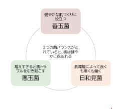 ※画像はイメージです。