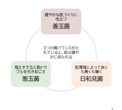 ※画像はイメージです。