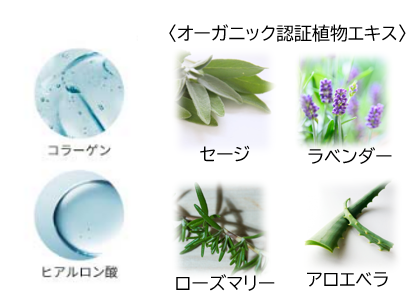 ※画像はイメージです。