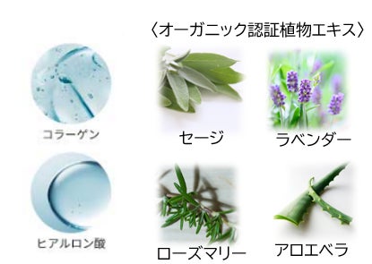 ※画像はイメージです。