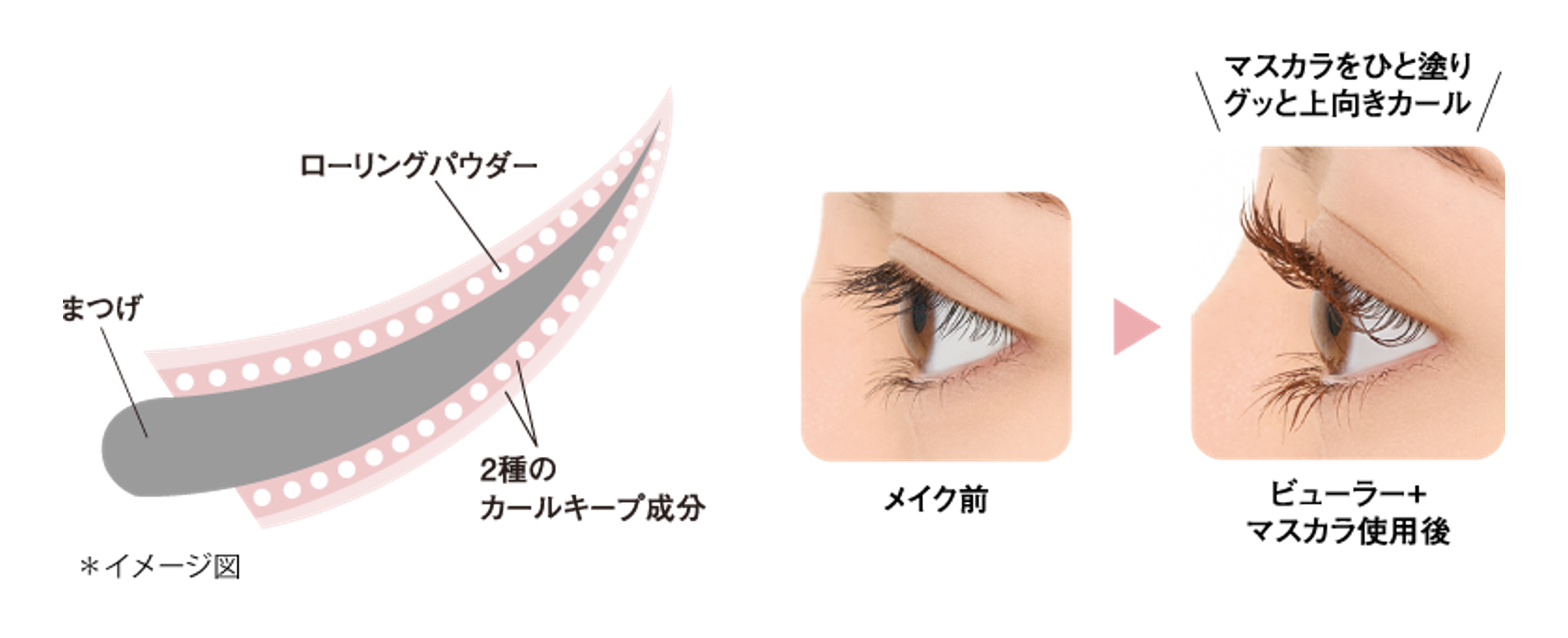 ラブ・ライナーの耐久カールマスカラと新登場のリムーバーが