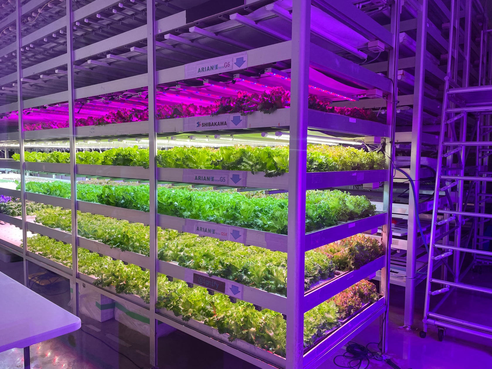 シンガポールのアグリテック企業「ARIANETECH Pte. Ltd.」が、千葉大学内に事業拠点開設、2025年に日本法人「アリアンテック・ジャパン株式会社」を本格稼働 | アリアンテック・ジャパン株式会社のプレスリリース