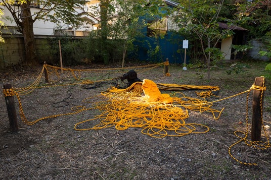 【八王子芸術祭2025】迎える 【八王子芸術祭2025】迎える