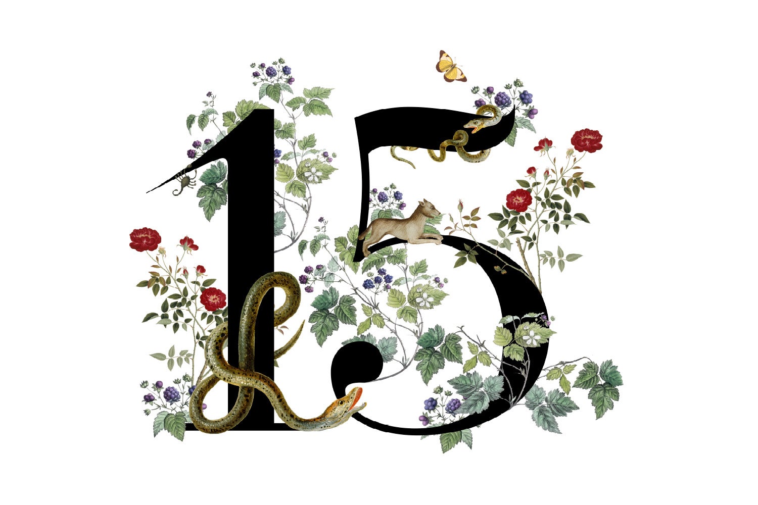 B&B Italia Outdoor Collection 15th Anniversary