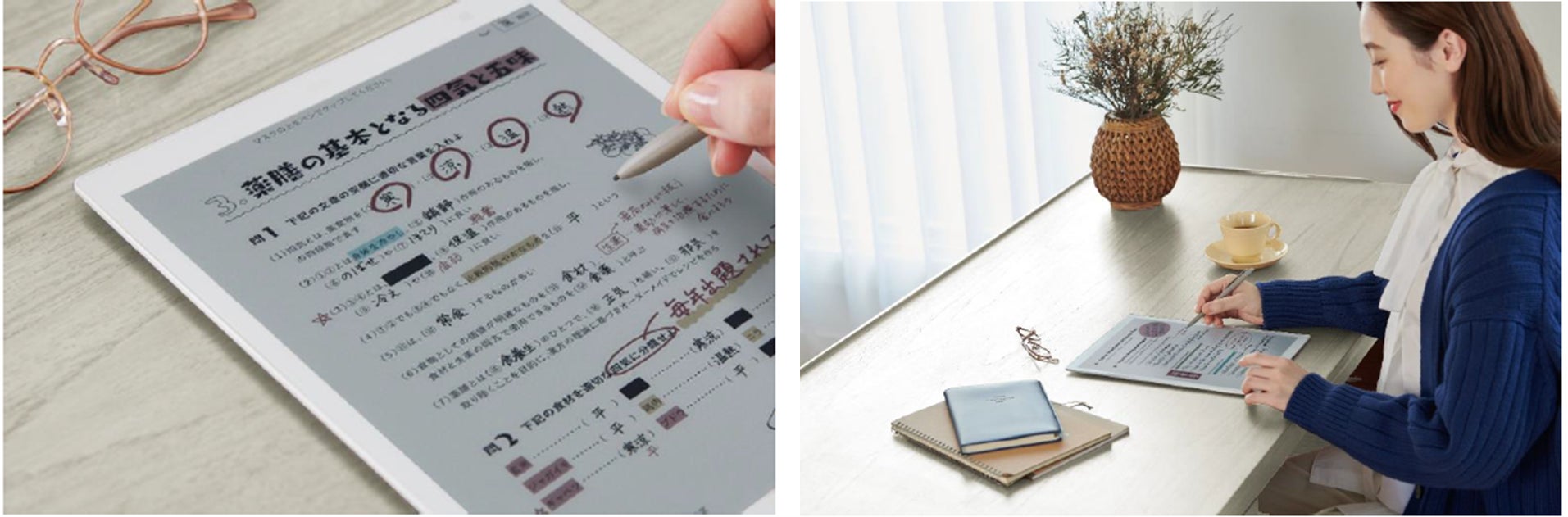 活動歴および当時の関連ビジュアル記録
