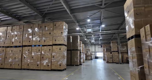 将来構想イメージ