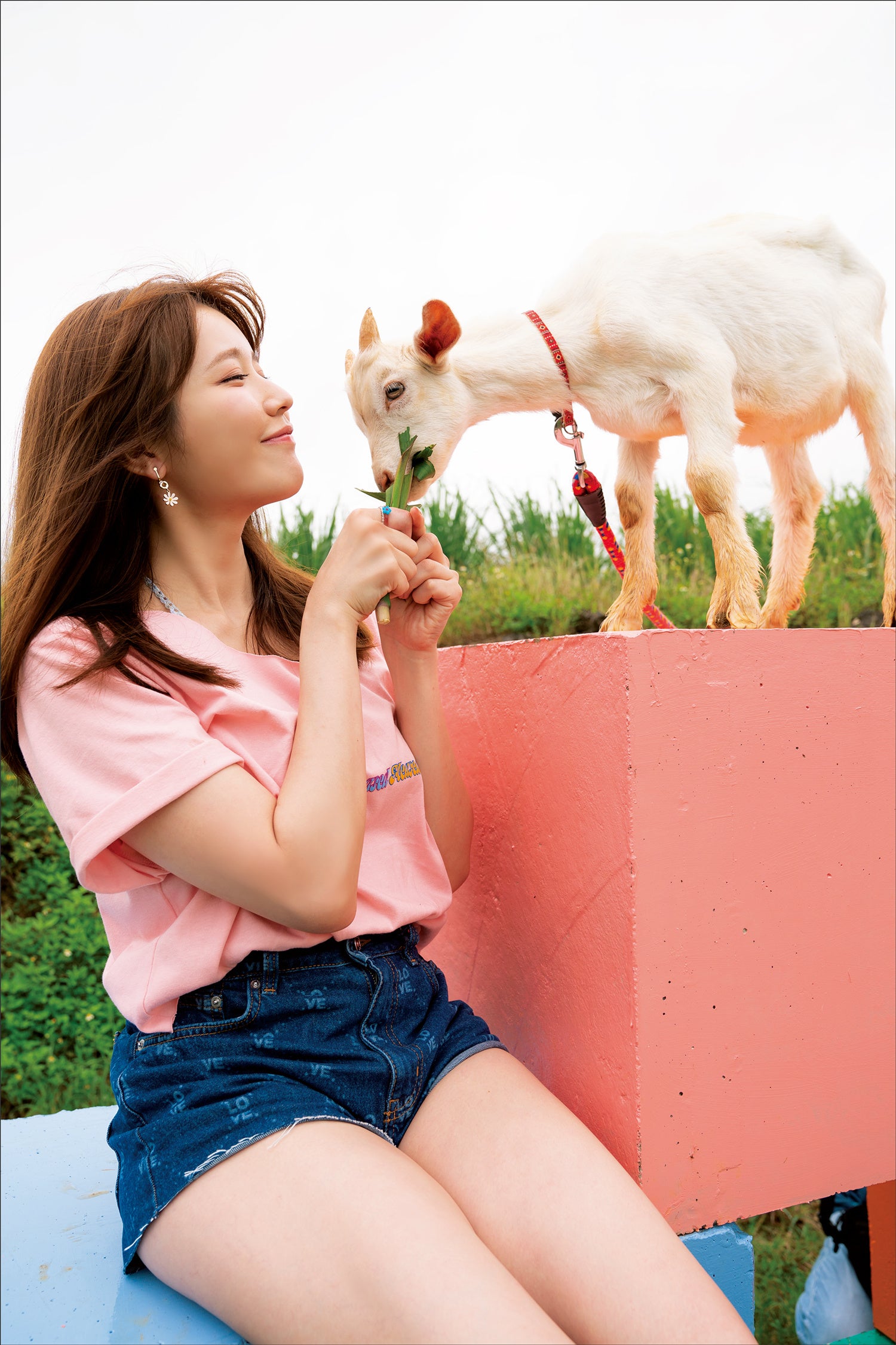 こどものヤギにリードをつけてお散歩。 途中でご褒美のごはんを