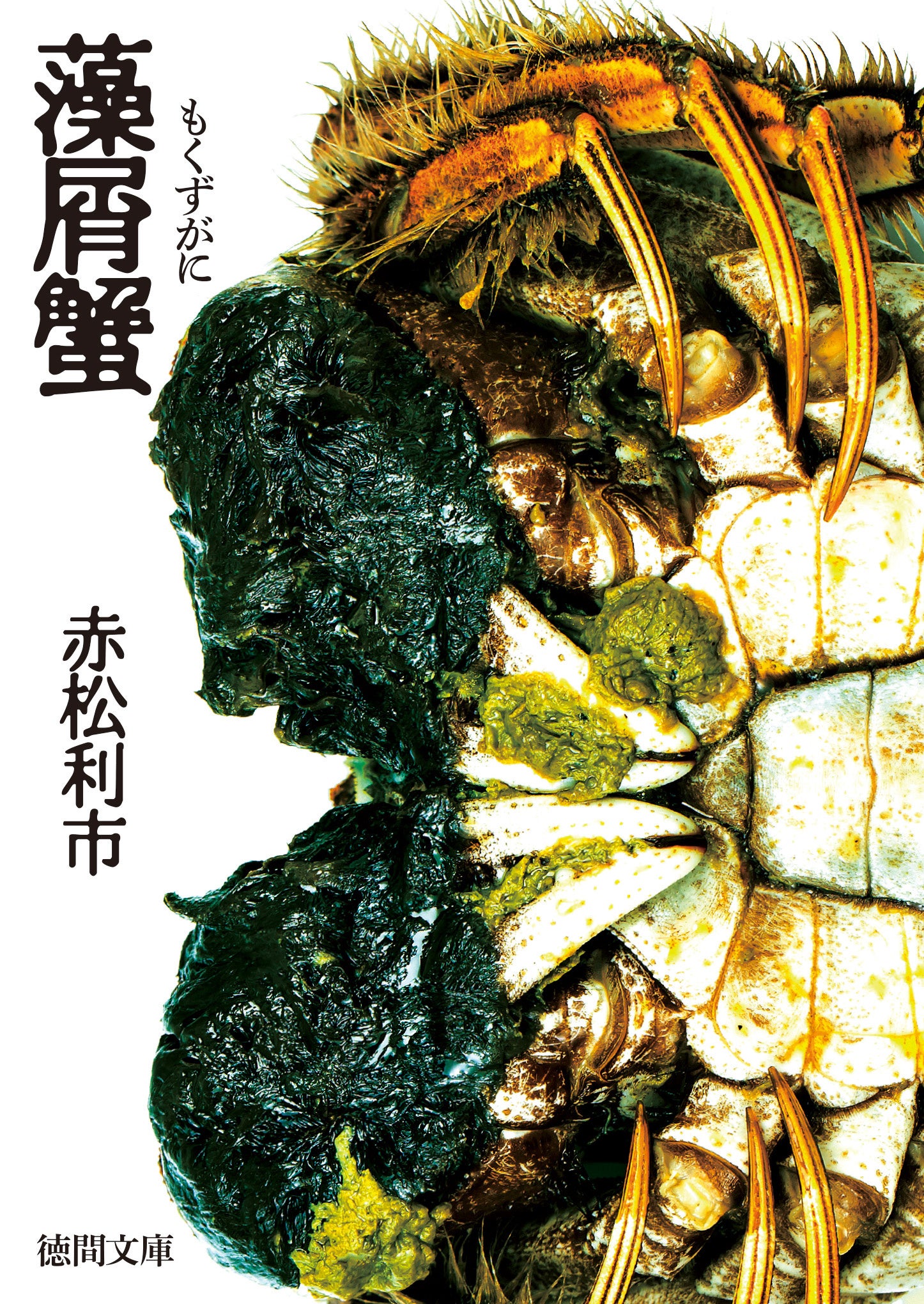 カバーデザイン：渋澤弾