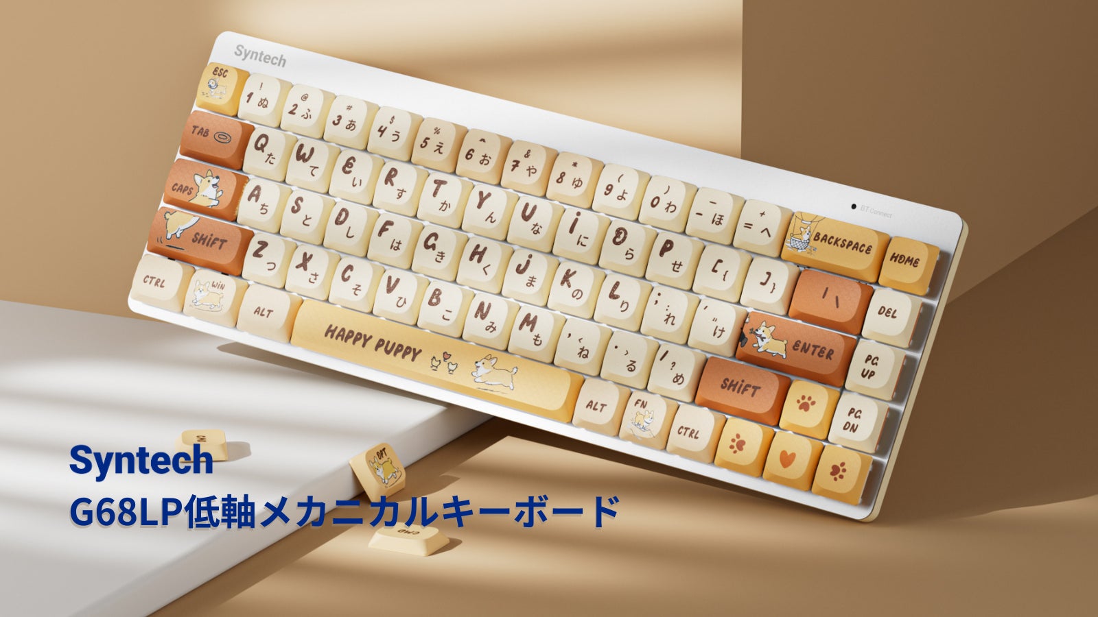 新発売】デスクワークを彩る、頼れる相棒。マルチデバイス対応の薄型 新発売】デスクワークを彩る、頼れる相棒。マルチデバイス対応の薄型
