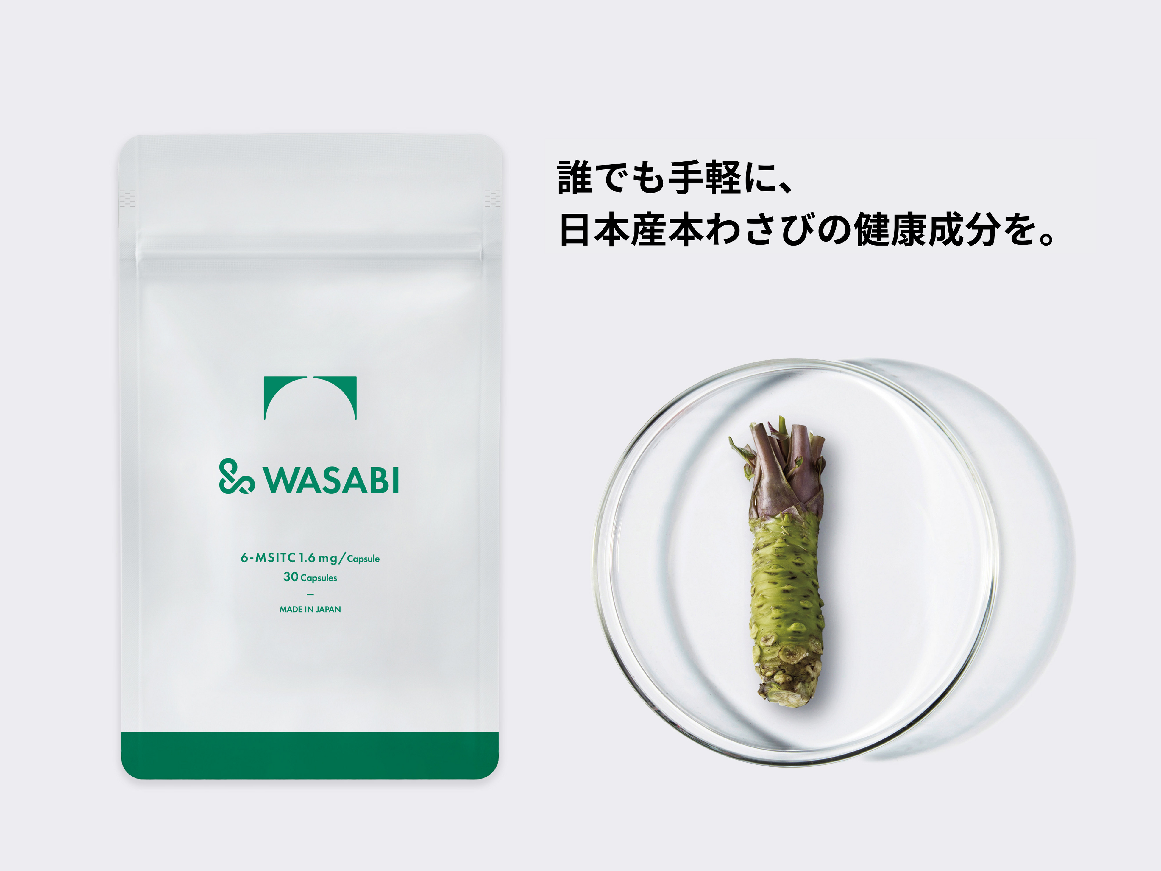 &WASABI 商品画像