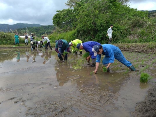 【福島県浪江町】営農再開へ向けて!! 「令和8年度 津島地区水稲試験栽培(田植え)」を実施します。 【福島県浪江町】営農再開へ向けて!! 「令和8年度 津島地区水稲試験栽培(田植え)」を実施します。