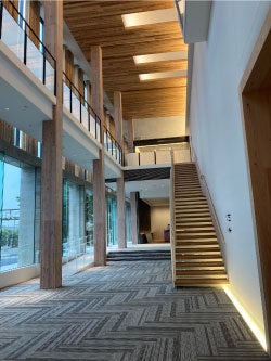 H1棟内に使用した秩父杉