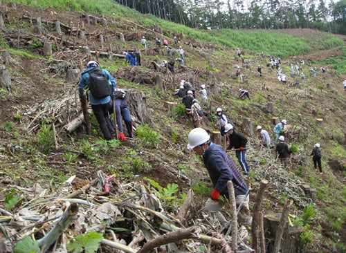 森林整備活動の様子