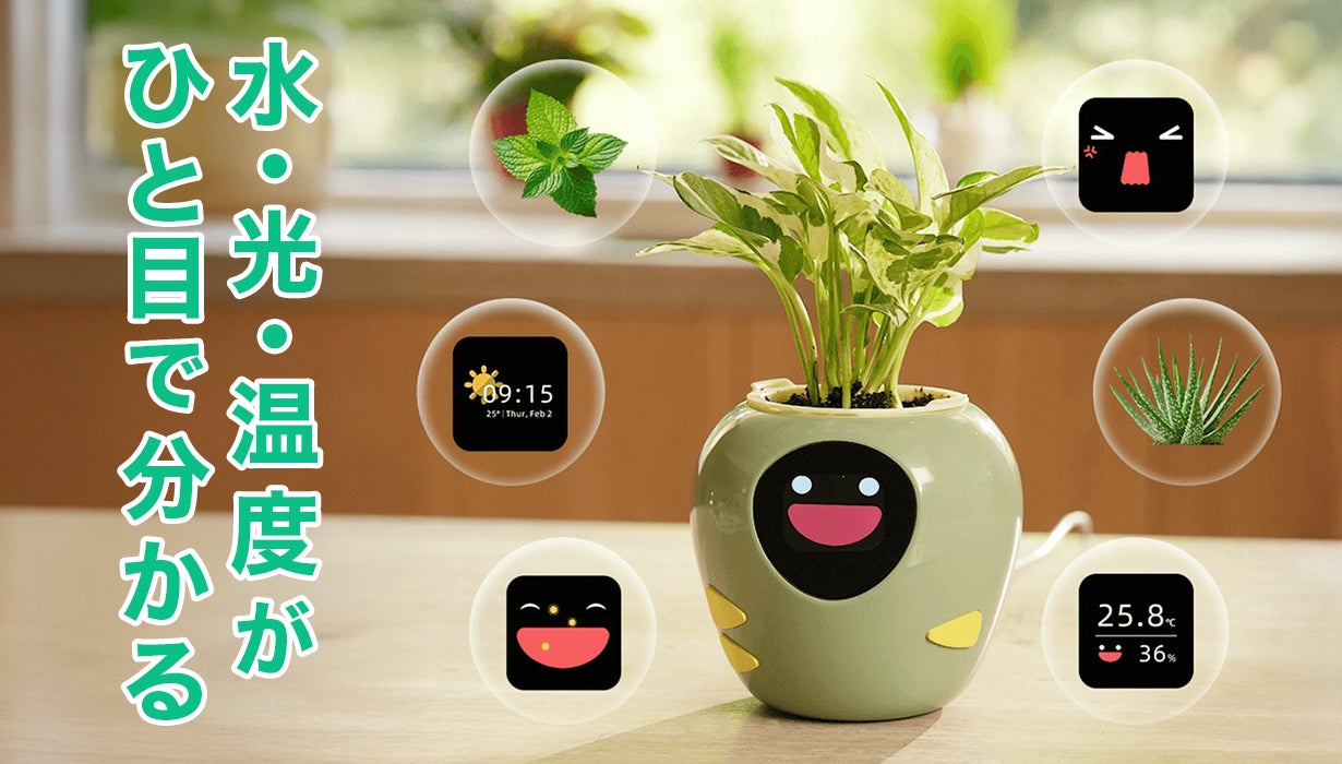 AI×センサーで植物と繋がる。表情でお世話を伝えるPlantbot【日本初 AI×センサーで植物と繋がる。表情でお世話を伝えるPlantbot【日本初