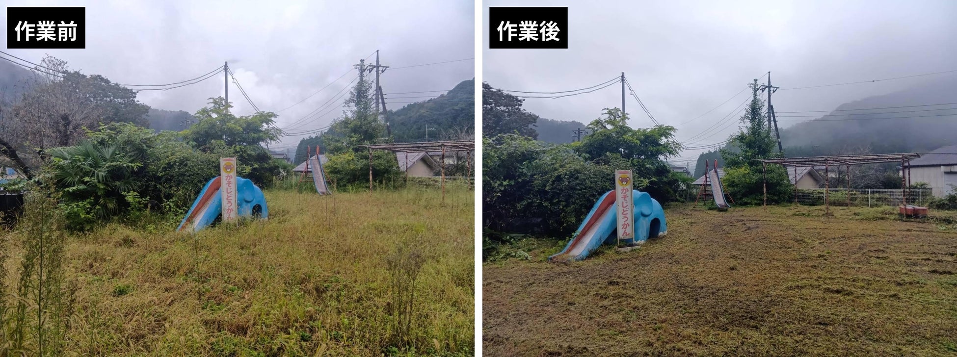 除草写真②