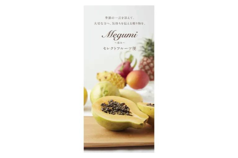 セレクトフルーツ便　＜恵み＞