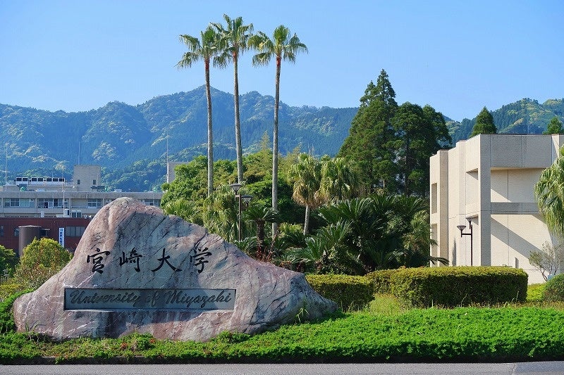 宮崎大学提供