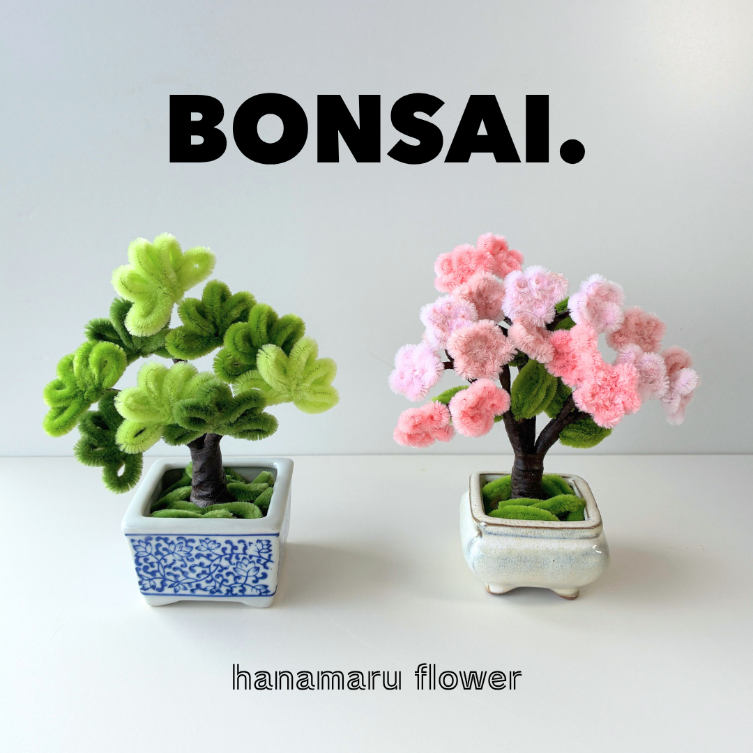 MZ世代に人気の枯れないお花！石川発のモールフラワー専門店