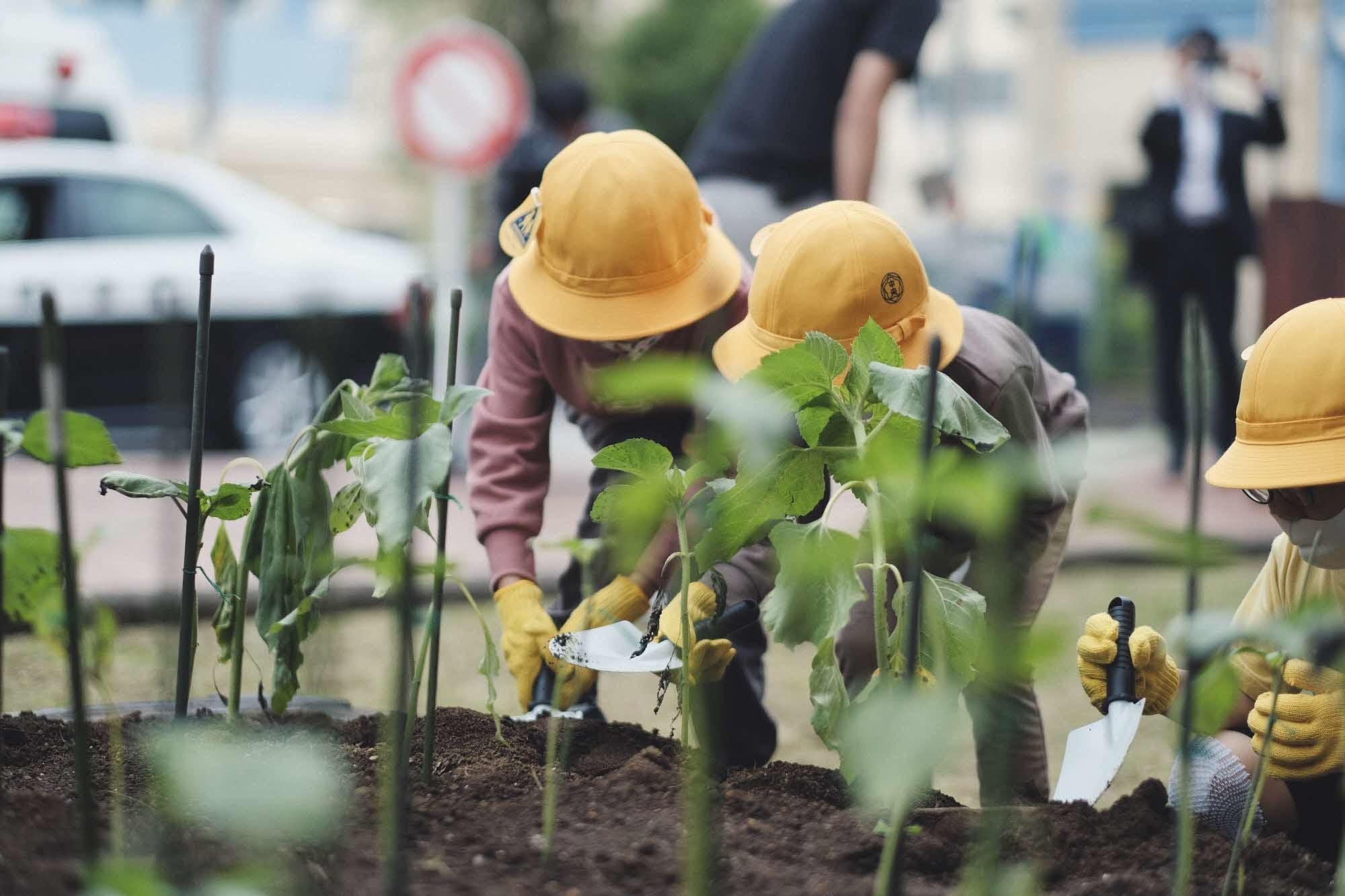 植栽する子どもたち