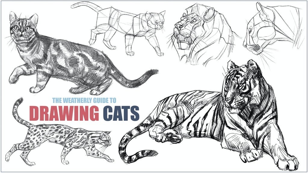 すべての猫好きへ ウチの子を描いてみる 見てるだけでも癒される ネコ科動物の描き方 指南書 株式会社講談社のプレスリリース