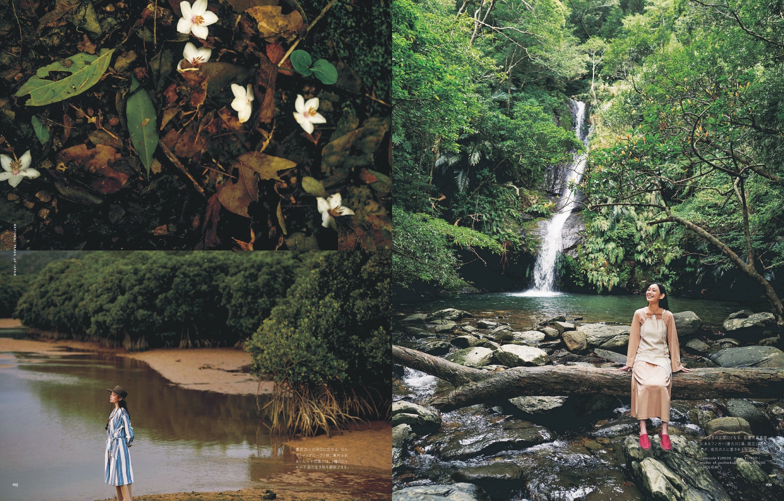 モデル・阿久津ゆりえさんと訪れたやんばるの玄関口の滝とマングローブの林