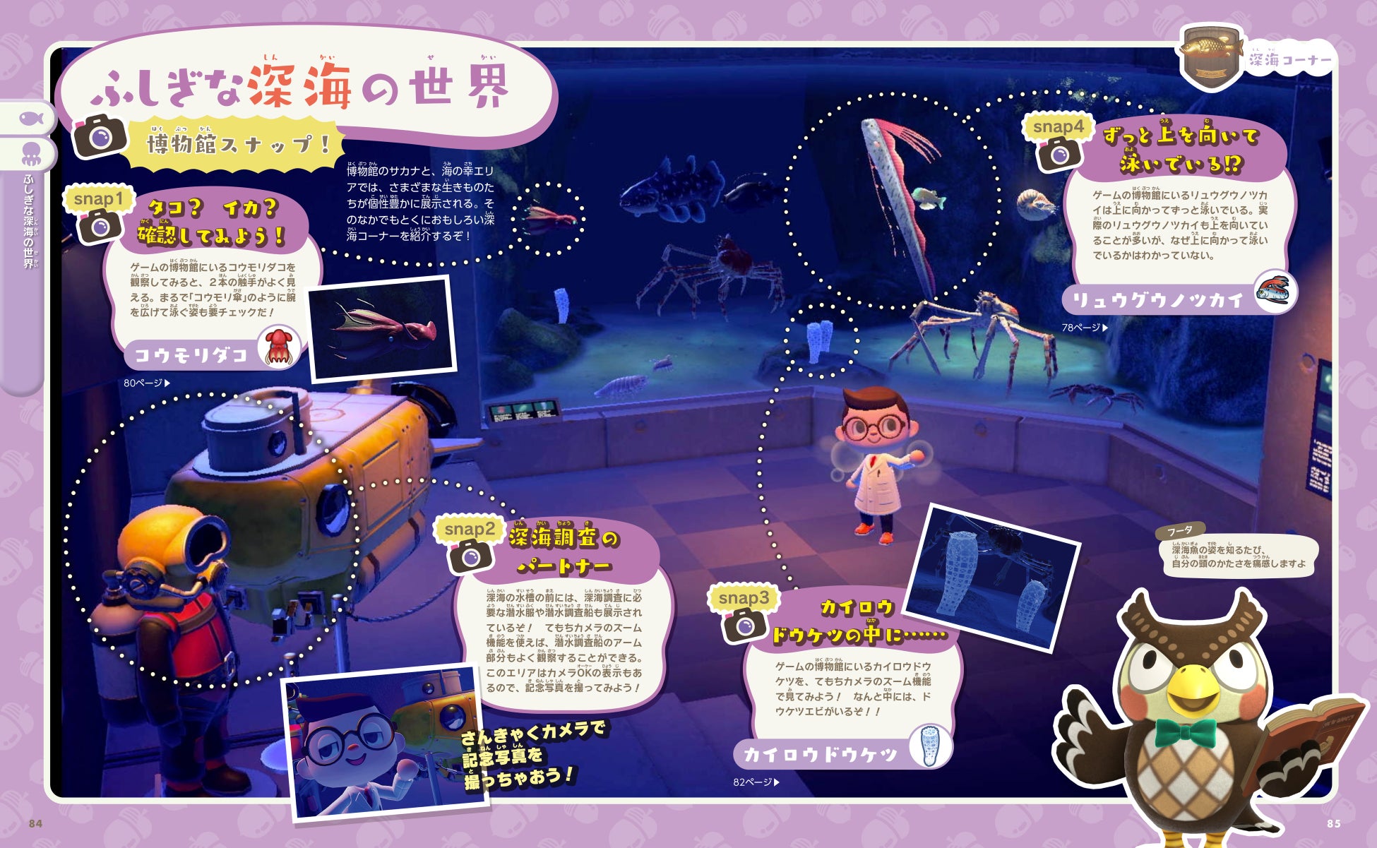 専門家ならではのゲームの観察ポイントは必見! 島生活がより充実しそう。