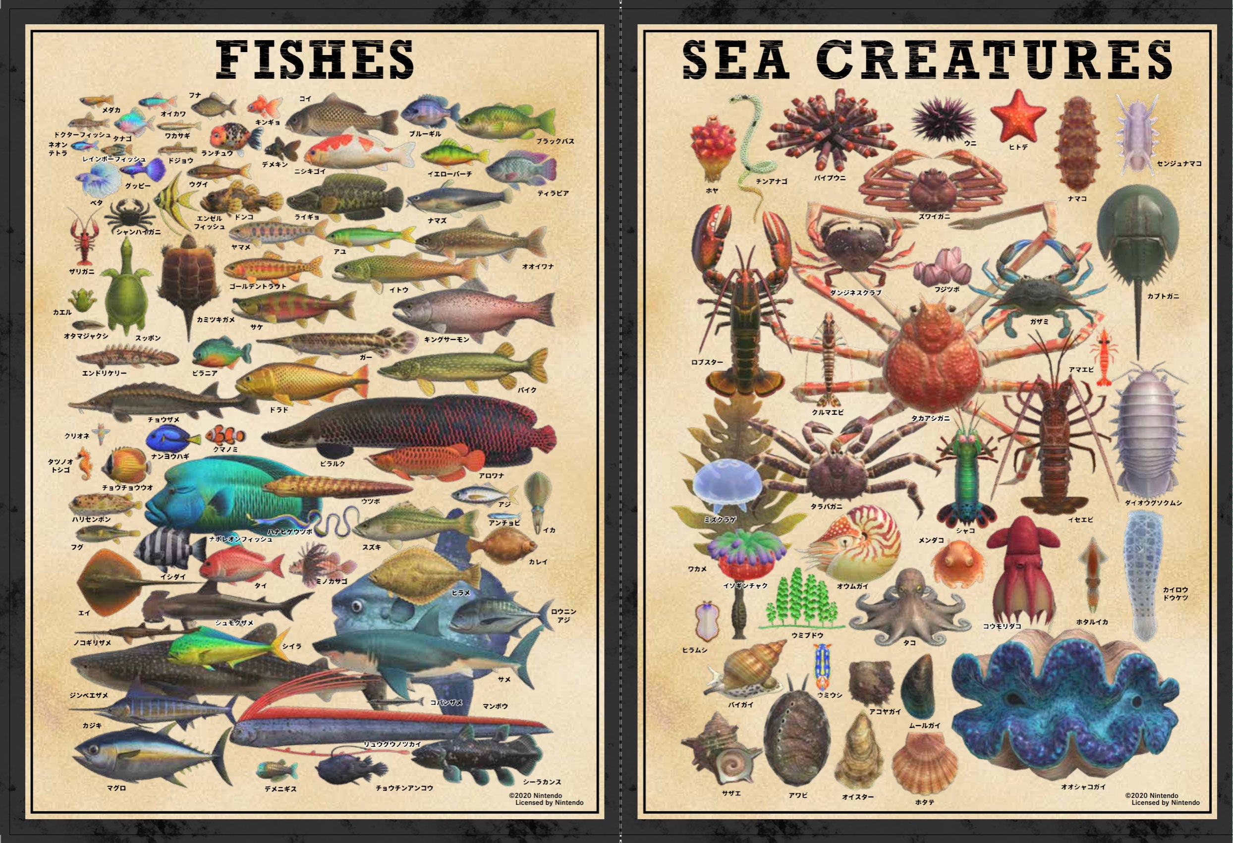 『あつまれ どうぶつの森 島の生きもの図鑑』が講談社より7月29日発売_014