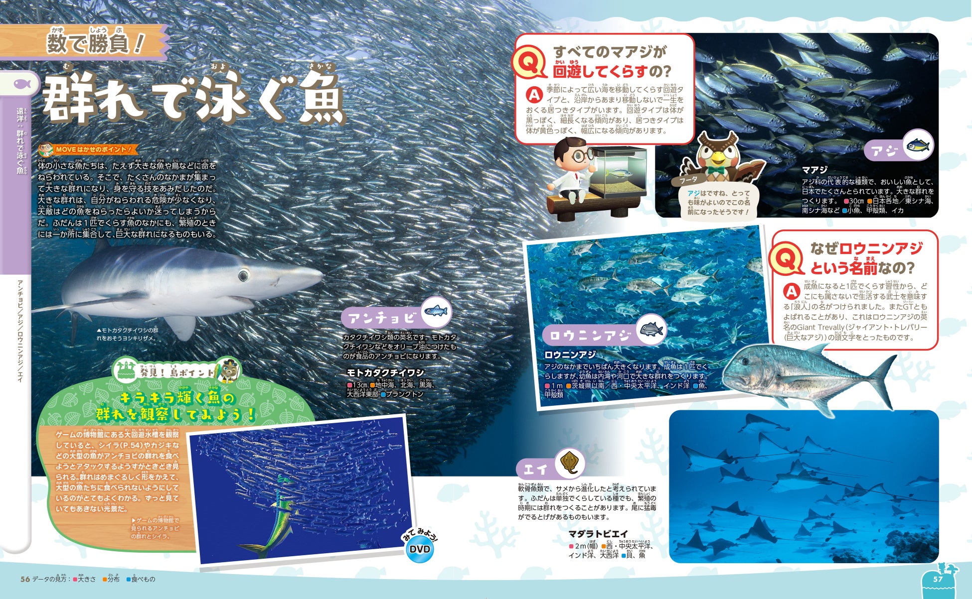 講談社の動く図鑑move に あつまれ どうぶつの森 島の生きもの図鑑 が登場 あつまれ どうぶつの森 のゲームに登場する生きものの生態を Move が徹底解説 全国の書店 ネット書店で予約開始 株式会社講談社のプレスリリース 講談社の動く図鑑move に あつまれ どうぶつの森 島の生きもの図鑑 が登場 あつまれ どうぶつの森 のゲームに登場する生きものの生態を Move が徹底解説 全国の書店 ネット書店で予約開始 株式会社講談社のプレスリリース
