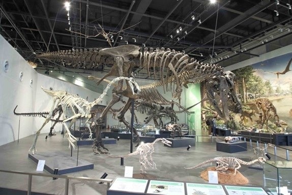 長崎市恐竜博物館内部