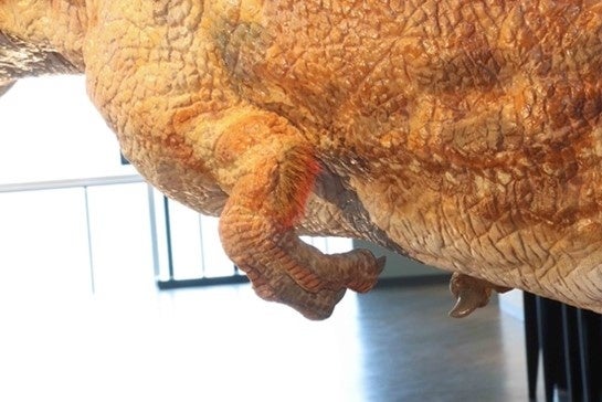 復元ロボットの前あし