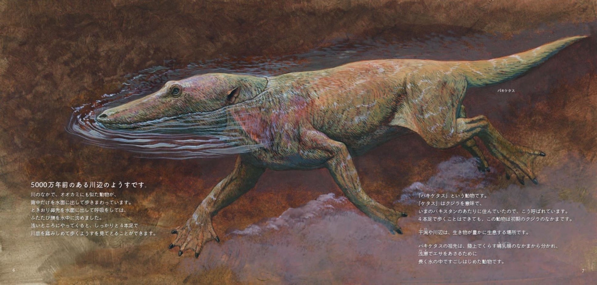 5000万年前のクジラは歩いていた 最新の研究結果を反映させた 美しい科学絵本 クジラの進化 予約受付開始 株式会社講談社のプレスリリース 5000万年前のクジラは歩いていた 最新の研究結果を反映させた 美しい科学絵本 クジラの進化 予約受付開始 株式会社講談社のプレスリリース