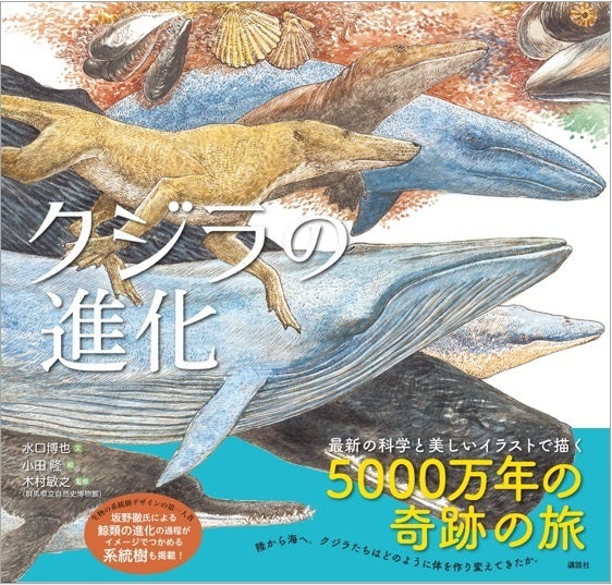 5000万年前のクジラは歩いていた 最新の研究結果を反映させた 美しい科学絵本 クジラの進化 予約受付開始 株式会社講談社のプレスリリース 5000万年前のクジラは歩いていた 最新の研究結果を反映させた 美しい科学絵本 クジラの進化 予約受付開始 株式会社講談社のプレスリリース