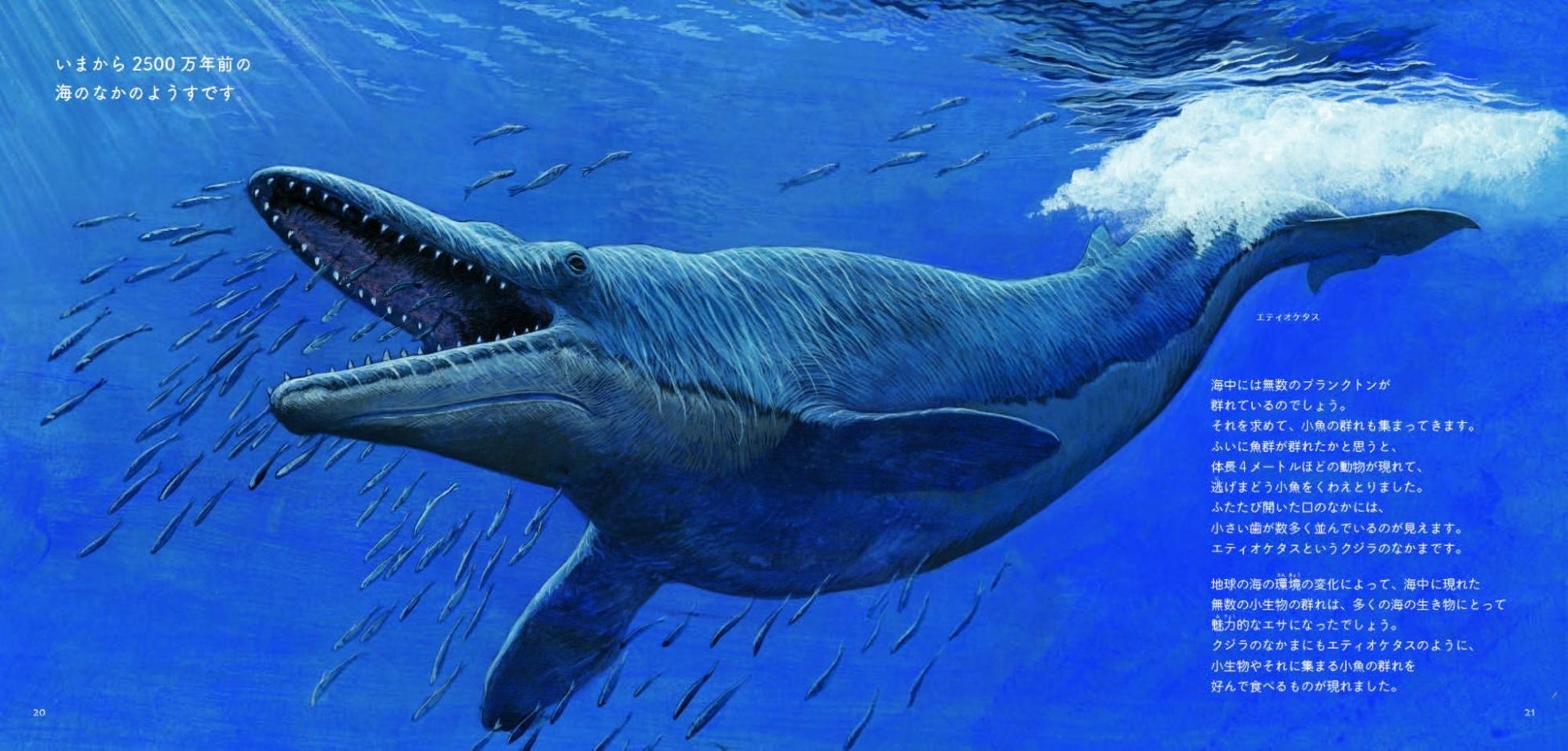 5000万年前のクジラは歩いていた 最新の研究結果を反映させた 美しい科学絵本 クジラの進化 予約受付開始 株式会社講談社のプレスリリース 5000万年前のクジラは歩いていた 最新の研究結果を反映させた 美しい科学絵本 クジラの進化 予約受付開始 株式会社講談社のプレスリリース