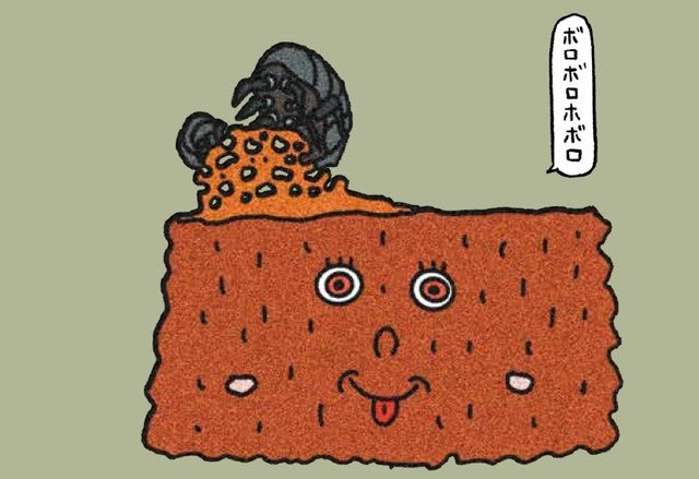 ホボロ島（広島県）　虫に食べられて、１００年後には島全体が消滅！？