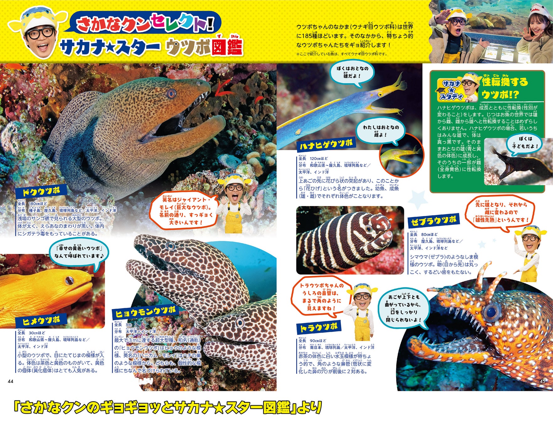 Nhkの人気番組 ギョギョッとサカナ スター が図鑑になった さかなクンのお魚への愛と知識が満載 キミもお魚 博士になれる 株式会社講談社のプレスリリース Nhkの人気番組 ギョギョッとサカナ スター が図鑑になった さかなクンのお魚への愛と知識が満載 キミもお魚 博士になれる 株式会社講談社のプレスリリース