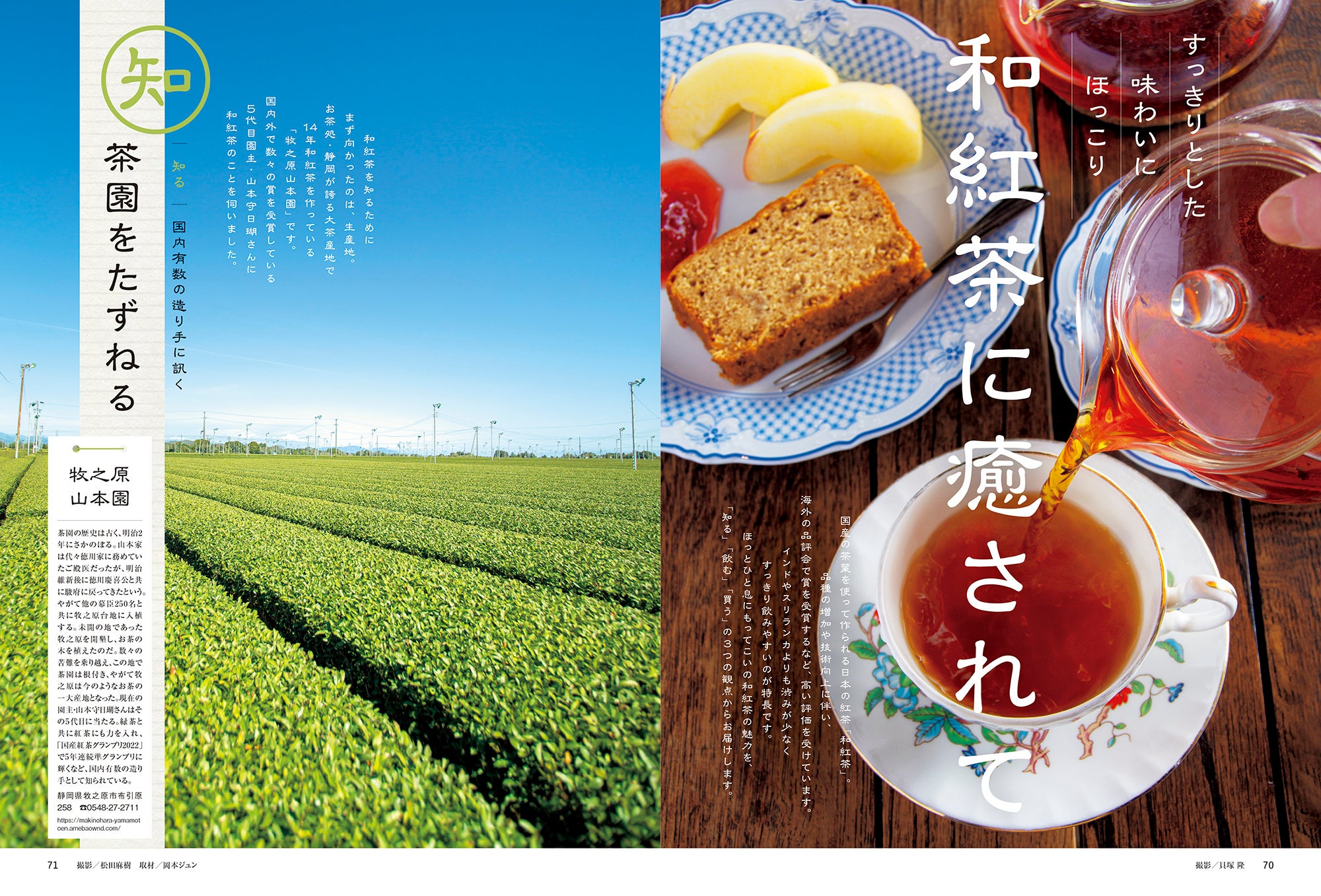 おとなの週末 2023年5月号「和紅茶に癒されて」
