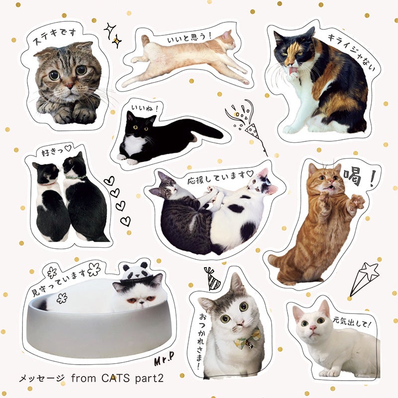 ポジティブワードがいっぱい！