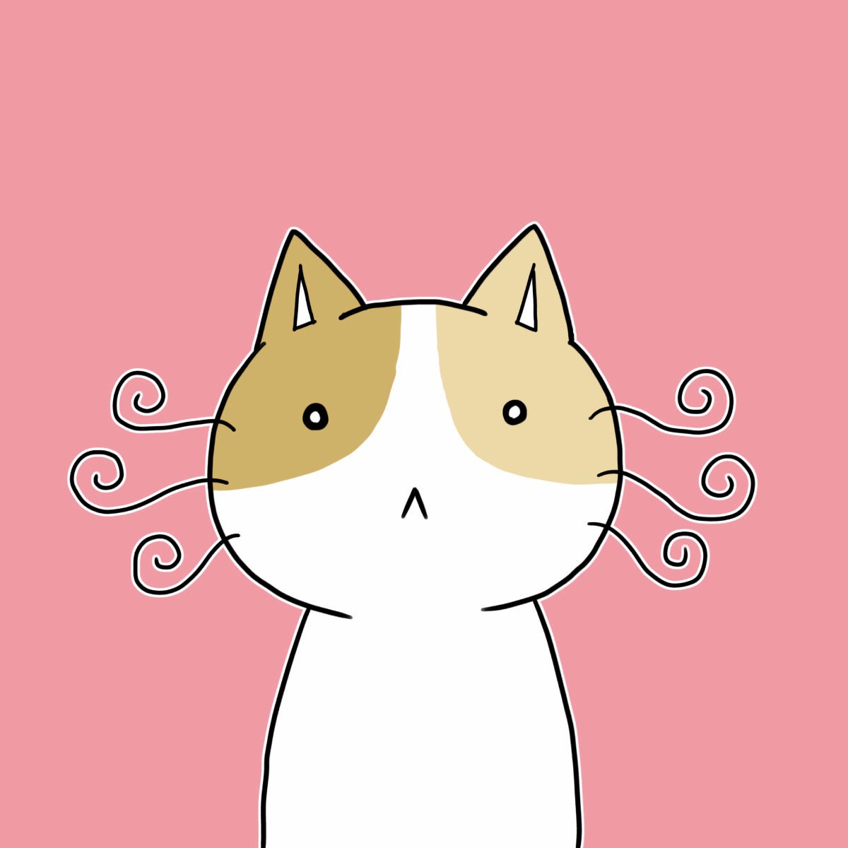 やまにゃんさま 専用です！ 商品詳細ページ