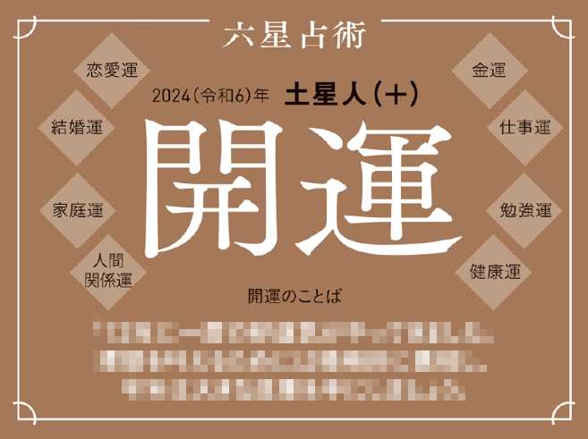 ※実際の商品にボカシはありません。